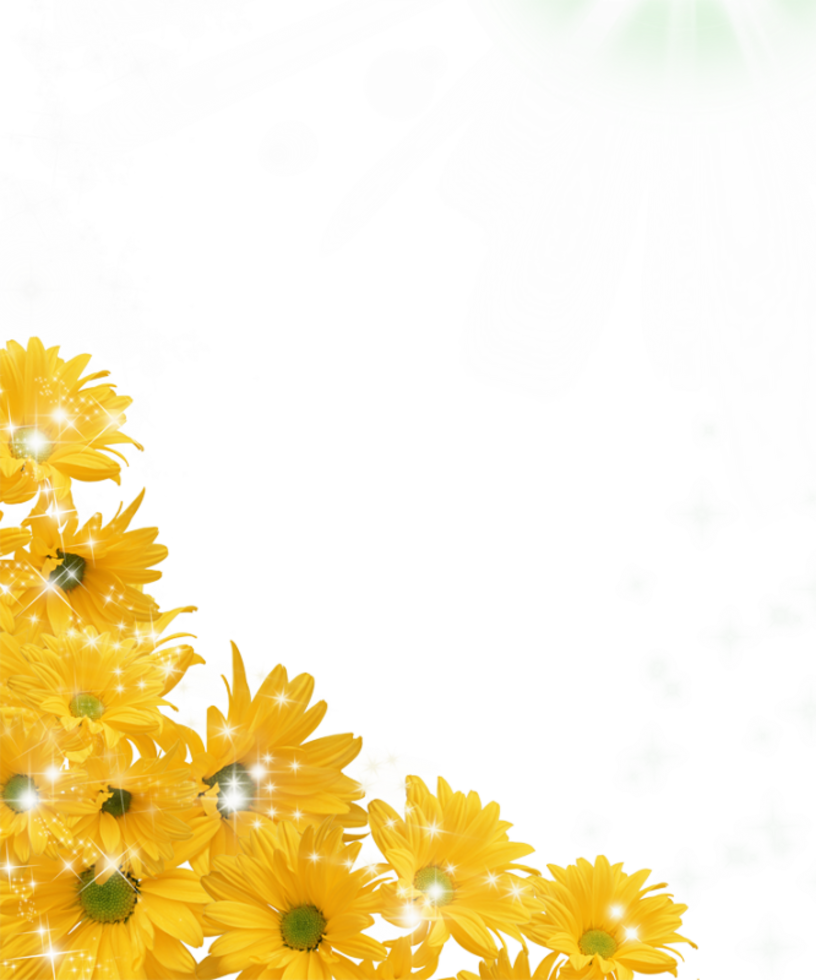 816 X 980 5 - Transparent Background Sunflower Border Clipart (816x980), Png Download