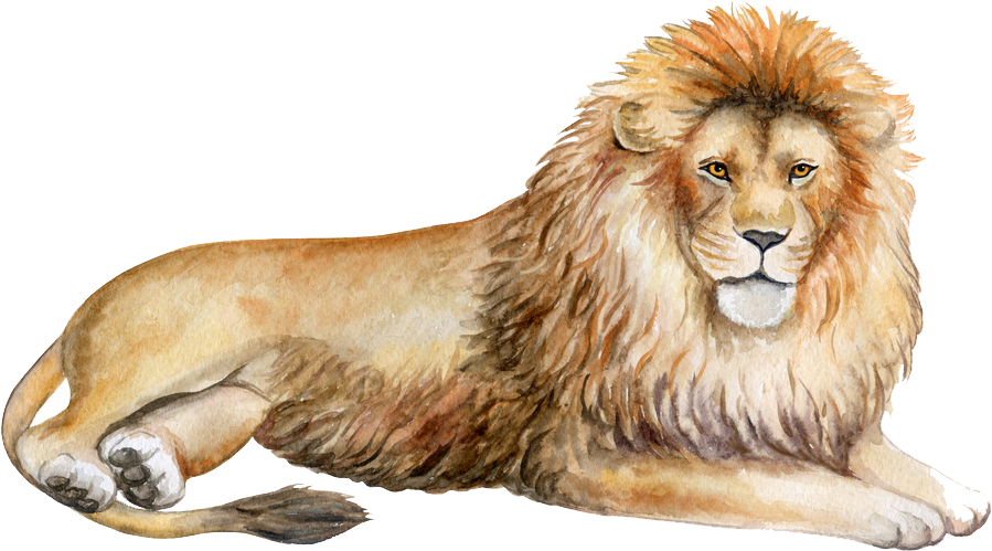 Lion Png - Masai Lion Clipart (1000x750), Png Download