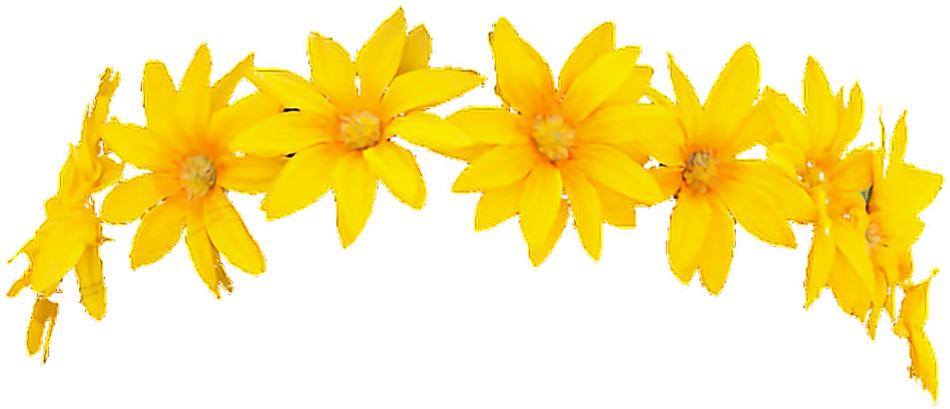 Snapchat Filter Flowercrown Character Render Freetouse Clipart (950x409), Png Download