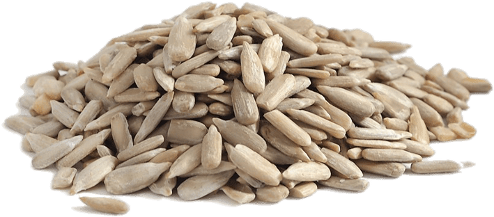 Sunflower Seeds - Sunflower Seed Without Shell Clipart (800x800), Png Download