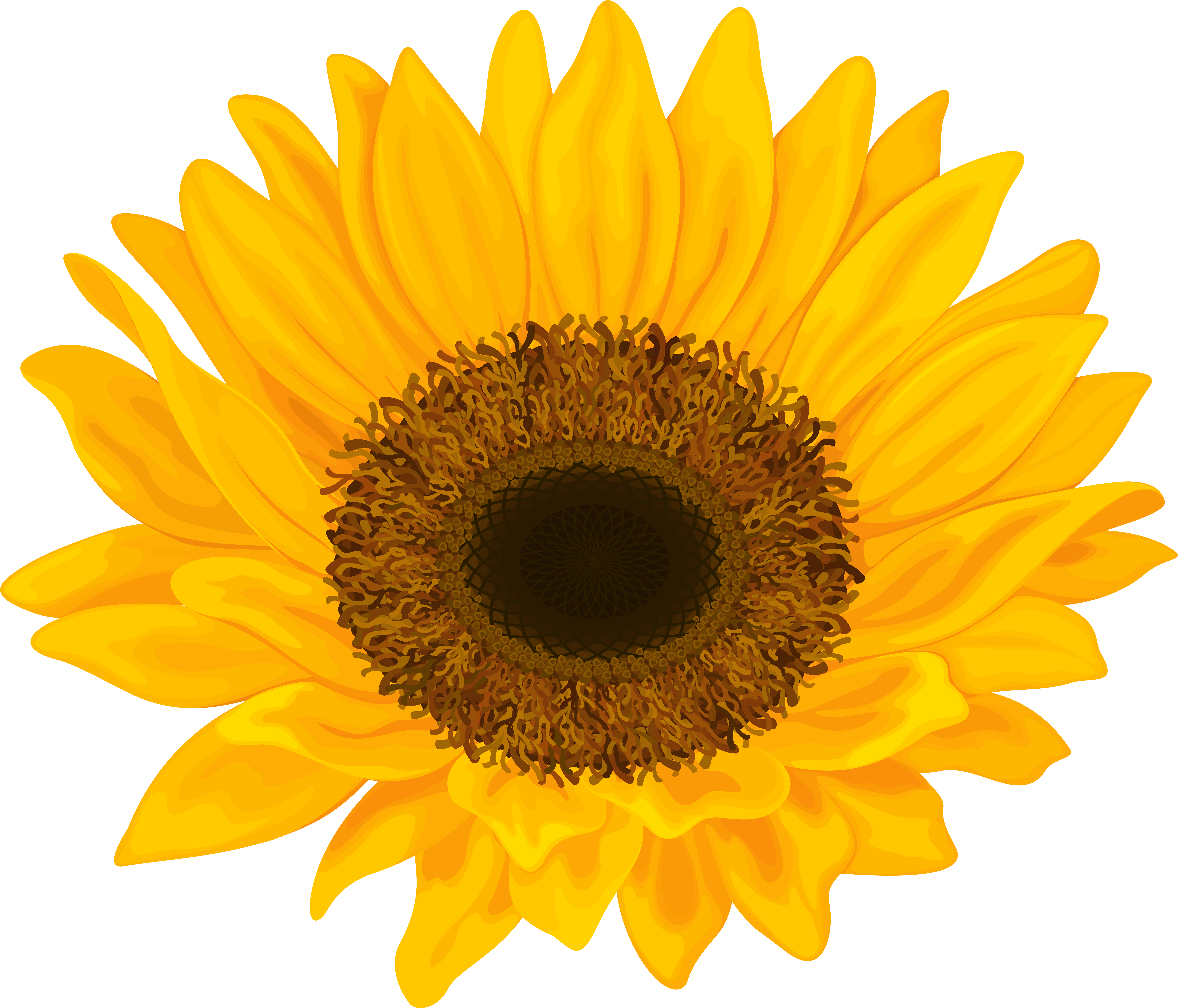 Sunflower Png Clip Art Image Transparent Png (8000x6848), Png Download