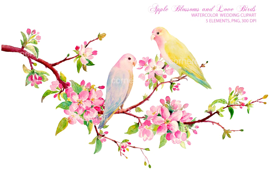 Love Birds Png Download Image - Love Birds Painting Watercolor Clipart (866x577), Png Download