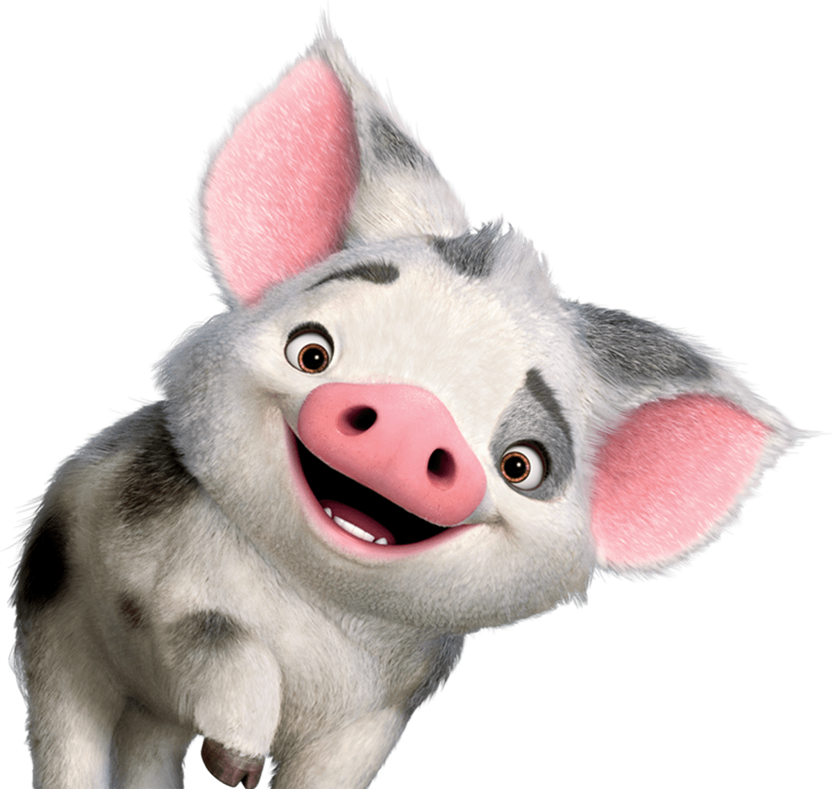 Pua Moana - Moana Characters Pua Clipart (1200x1137), Png Download