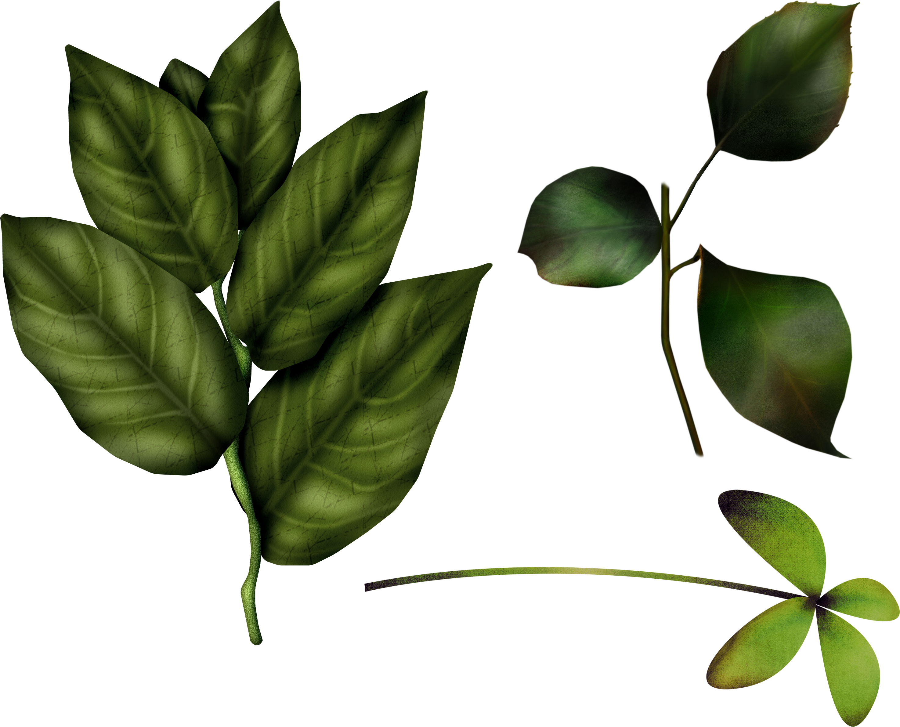 Green Leaves Clipart (2949x2382), Png Download