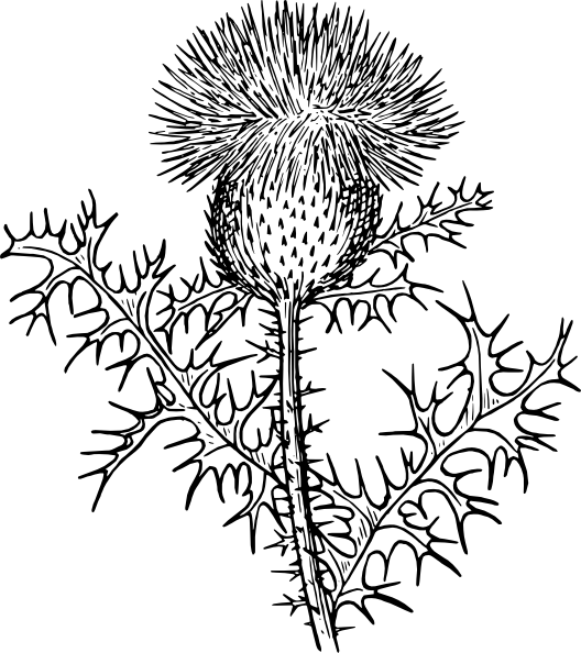 Rag Weed Svg Clip Arts 528 X 594 Px - Png Download (528x594), Png Download