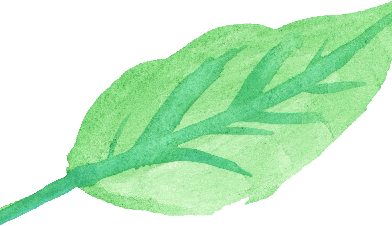 15 Watercolor Leaves Png For Free Download On Mbtskoudsalg Clipart (1369x791), Png Download
