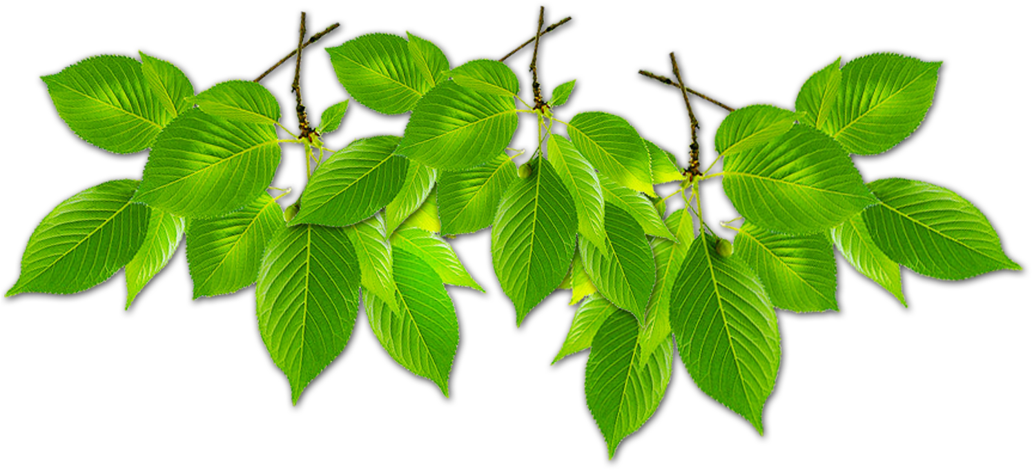 1500 X 1500 11 Clipart (1500x1500), Png Download