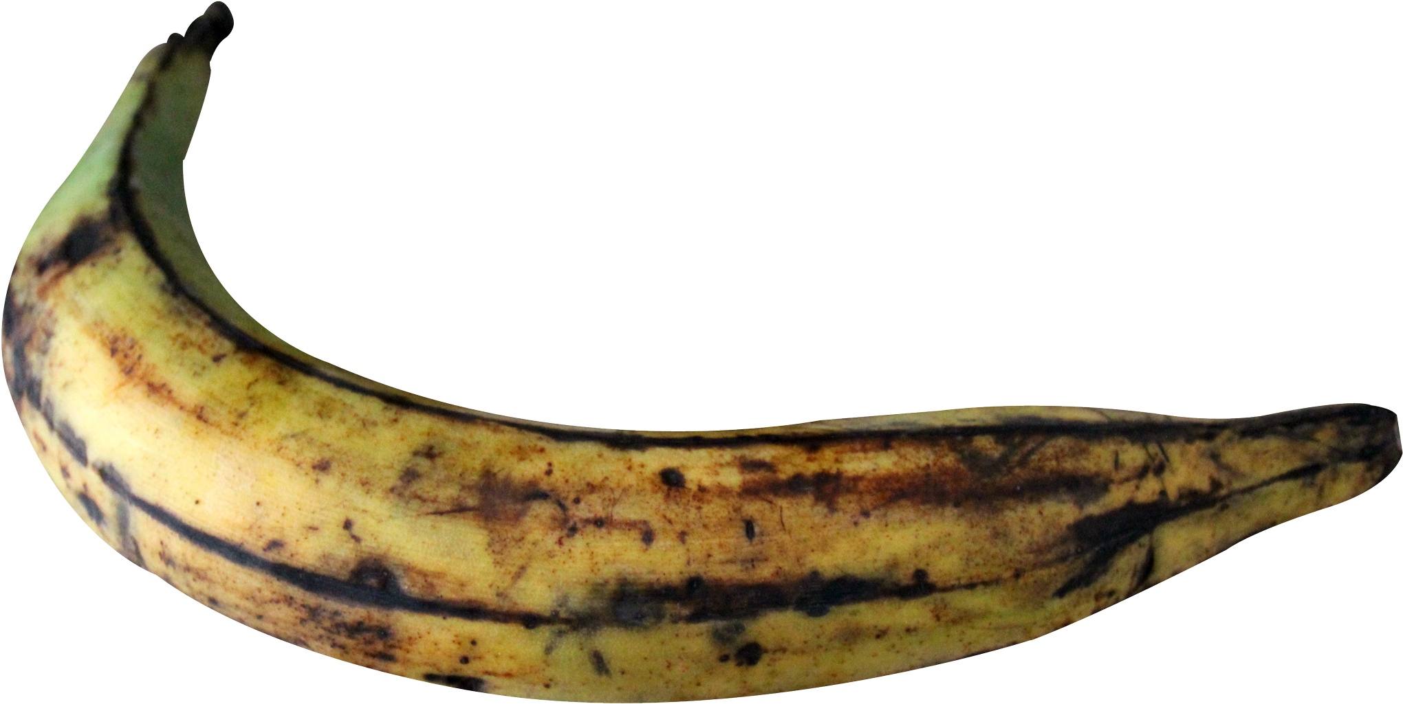 Banana Clipart Photo - Plantain Png Transparent Png (2110x1069), Png Download
