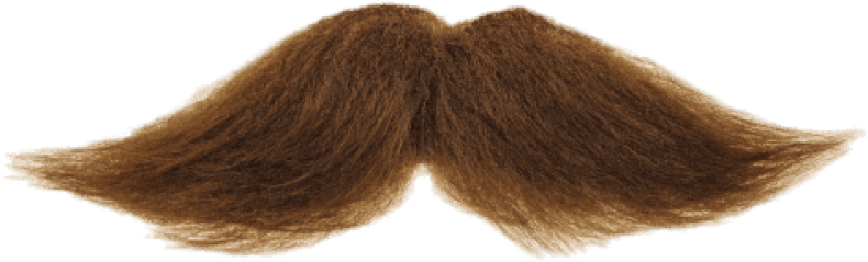 Free Png Download Mustache Brown Png Images Background - Moustache Transparent Background Clipart (850x567), Png Download