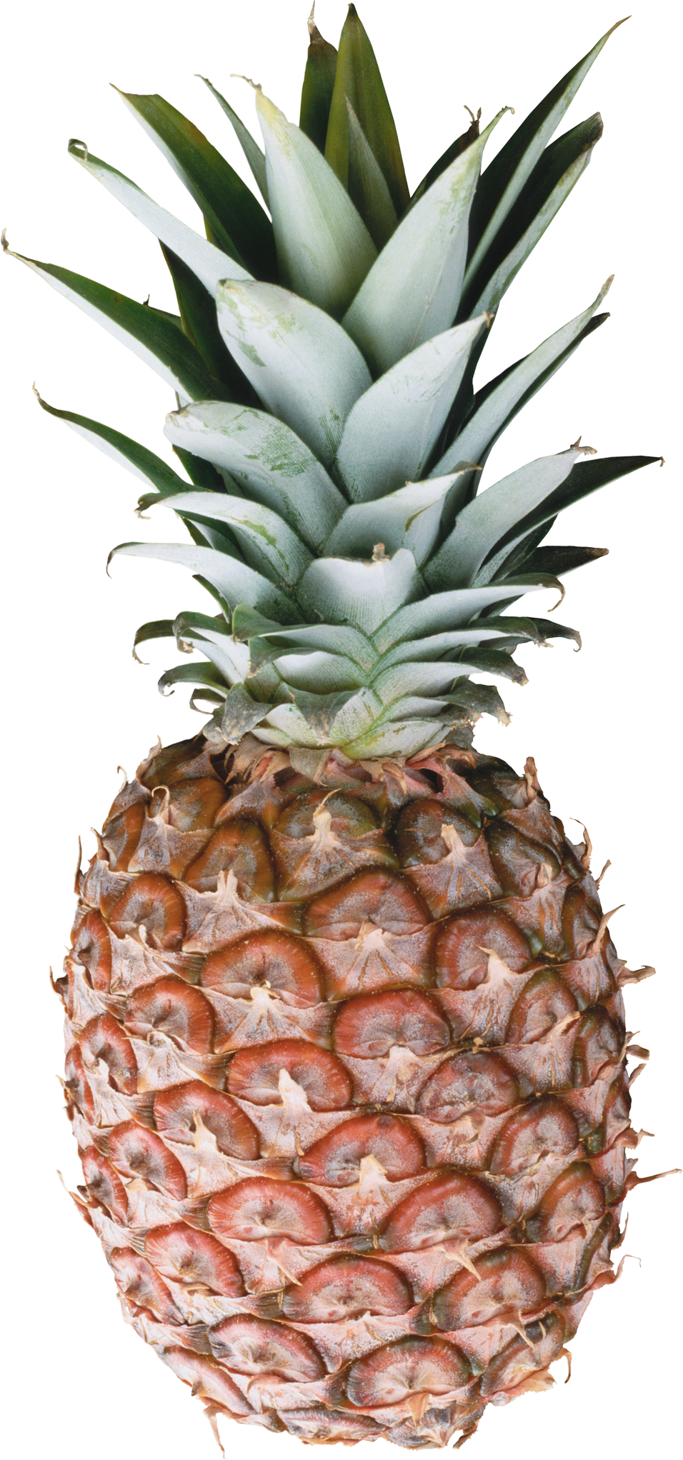 Pineapple - Pineapple And Marble Clipart (956x2044), Png Download