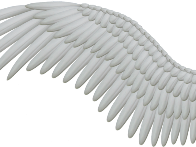 Angel Wings Png - Angels Wing No Background Clipart (640x480), Png Download