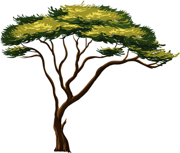 Painted African Tree Png Clipart Picture Trees Tree - African Tree Clipart Transparent Png (600x516), Png Download