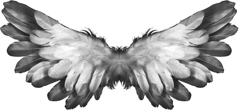 Free Png Download Angel Wings Feathers Png Images Background - Gods Angels Clipart (850x394), Png Download