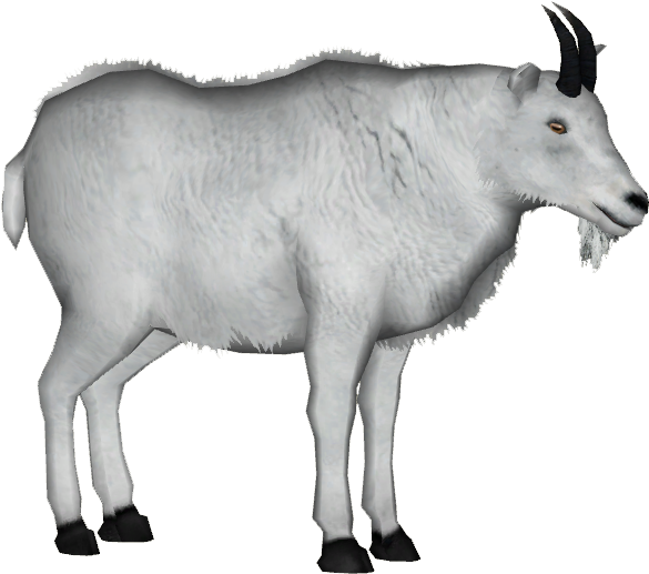 Mountain Goat 4 - Mountain Goat Png Clipart (584x584), Png Download
