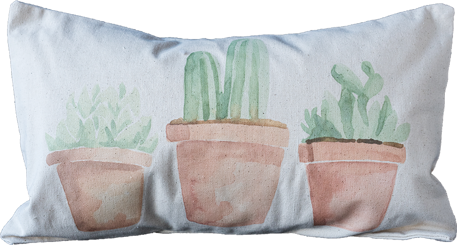 Potted Succulents Terrecotta - Flowerpot Clipart (900x483), Png Download