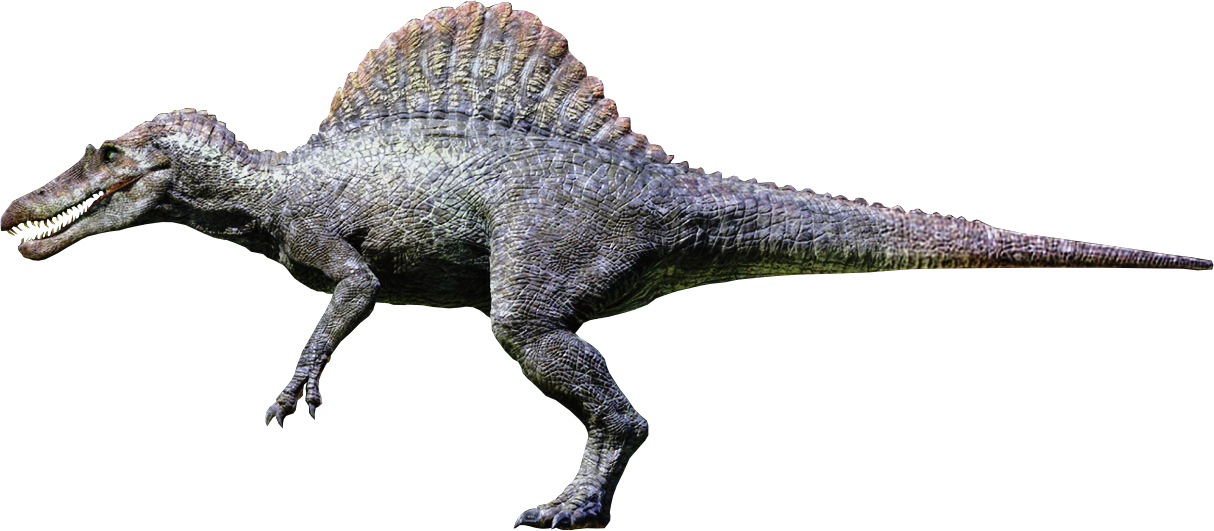 Spinosaurus Png Free Download - Jurassic Park Spinosaurus Clipart (1214x531), Png Download