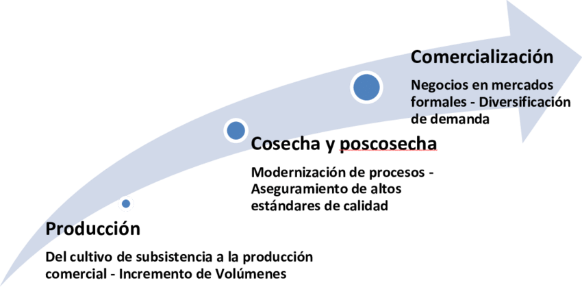 Componentes Principales Del Cambio Meta Que Se Busca - Coherencia Clipart (850x419), Png Download