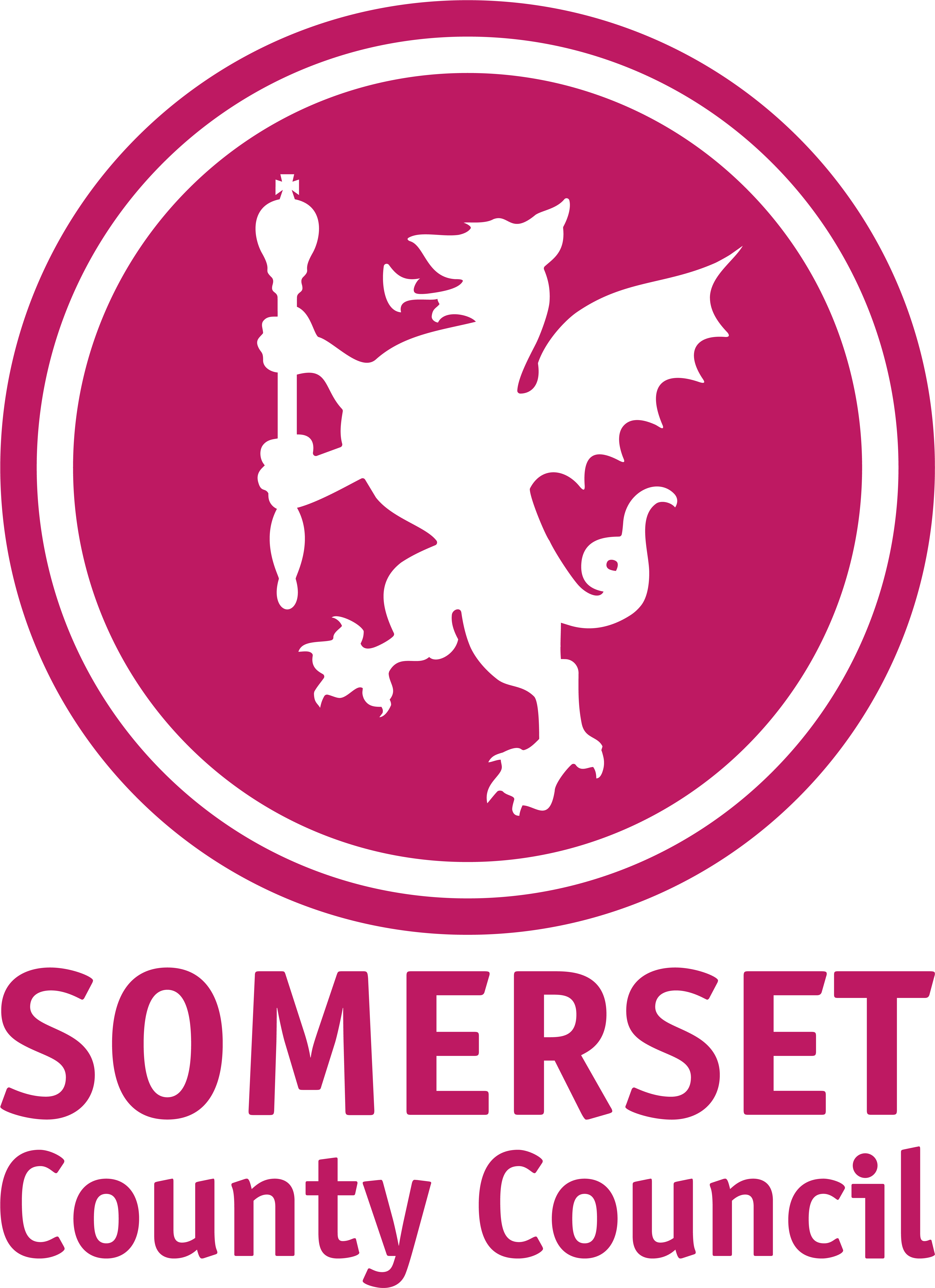 Somerset Health And Care Stp System - Somerset County Council Logo Clipart (5906x7677), Png Download