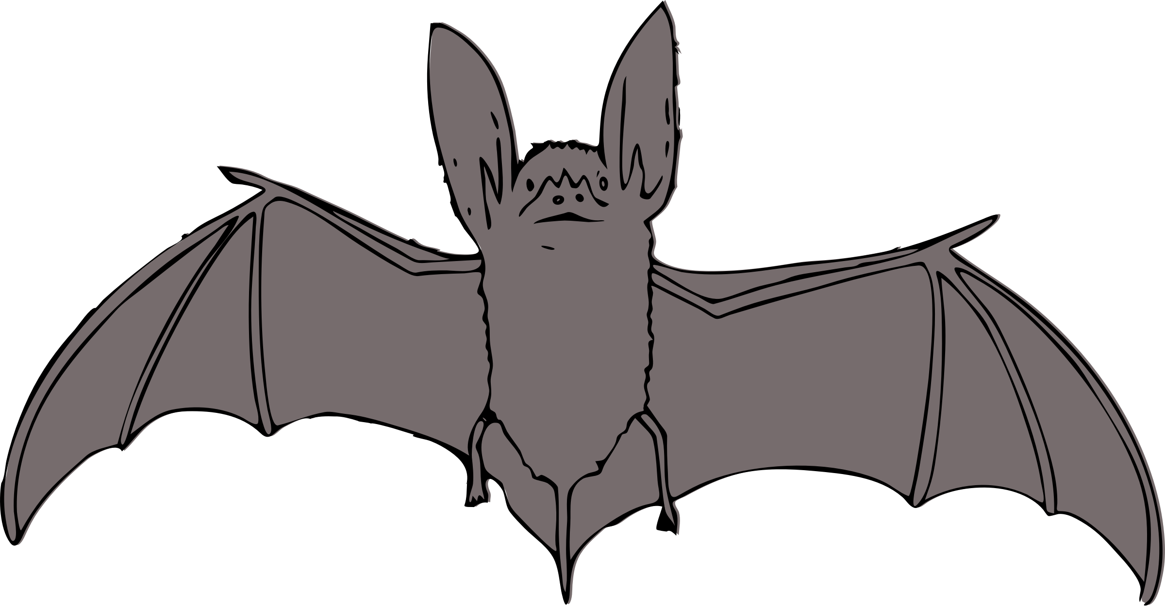 Bat Cartoon Coloring Pages - Bat Clipart - Png Download (2400x1249), Png Download