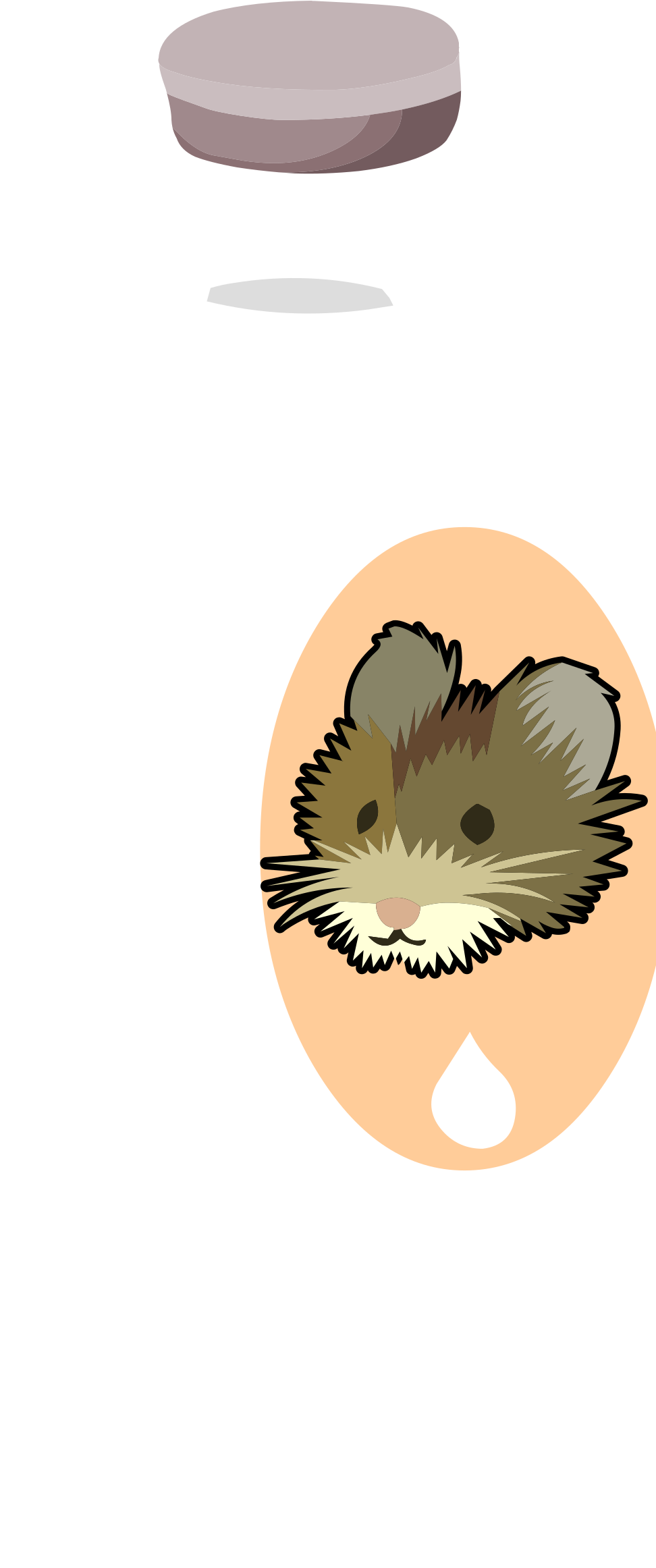 Mouse Clipart Vole - Png Download (972x2323), Png Download