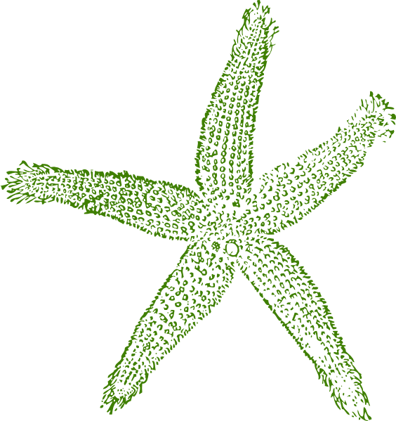 Starfish Clipart Png - Blue Sea Shell Clip Art Transparent Png (564x599), Png Download