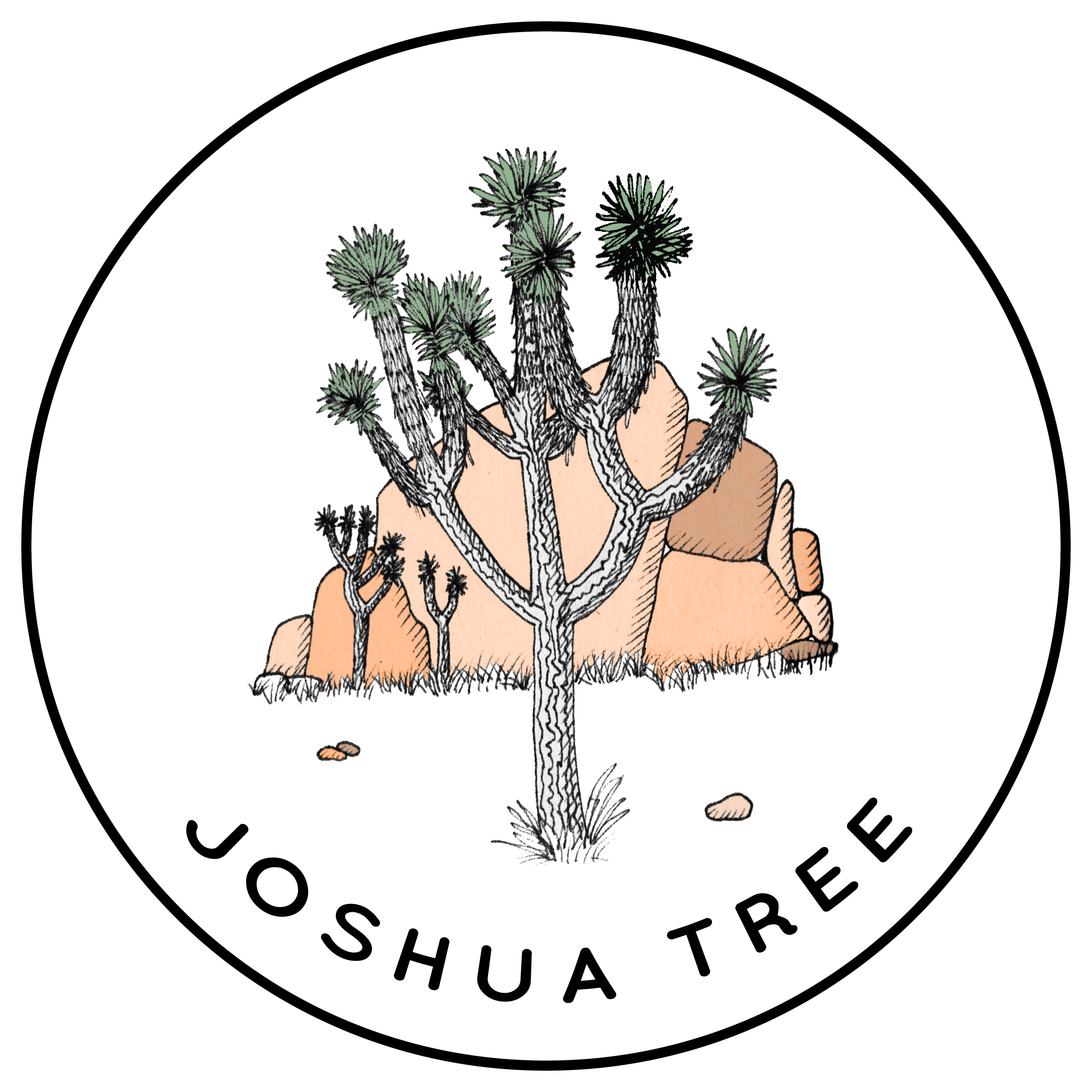 Joshua Tree National Park, Joshua Tree, Drawing, Tree, - Joshua Tree Line Drawing Clipart (2242x2242), Png Download