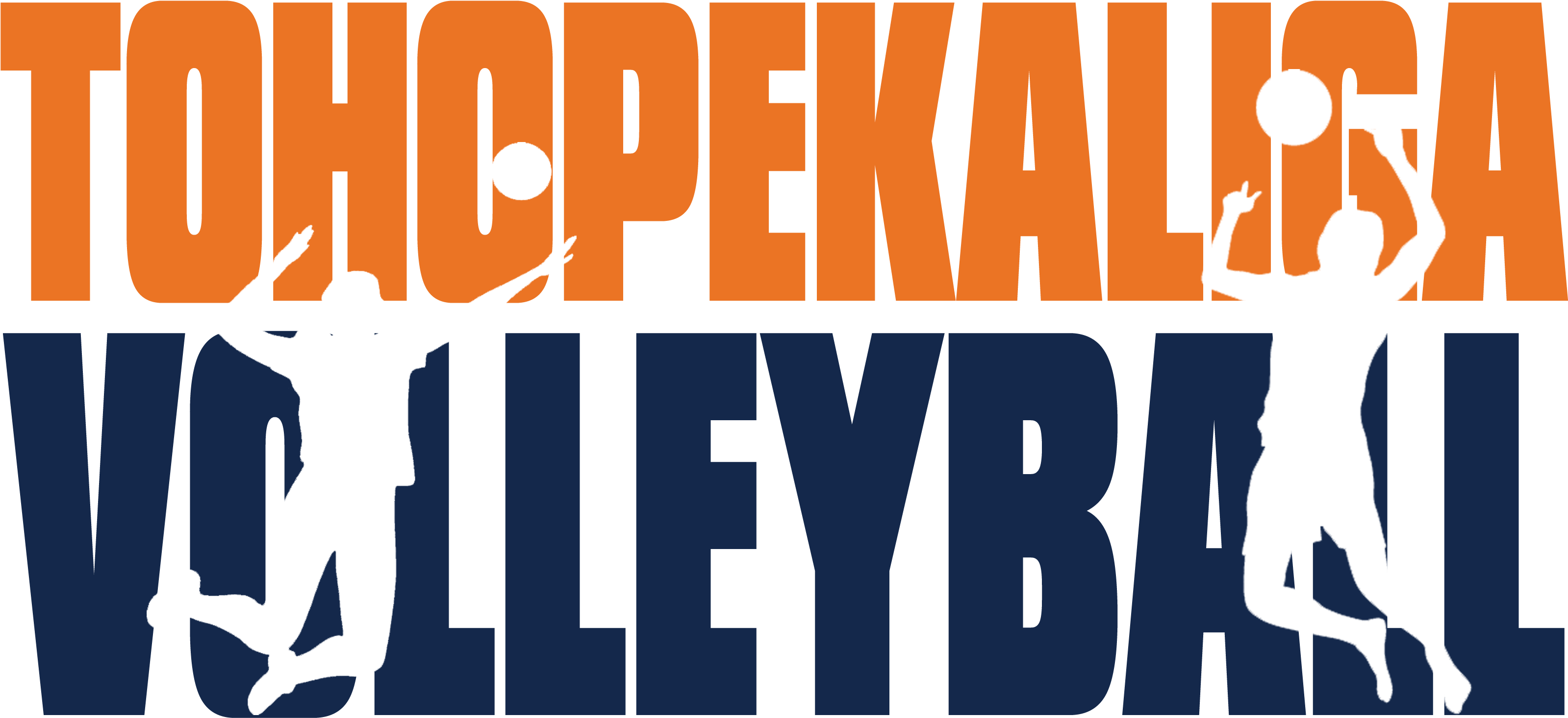 Toho Volleyball Banner Image - Poster Clipart (3300x1584), Png Download