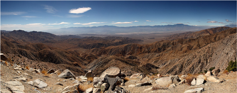 Joshua Tree National Park On Flowvella - Joshua Tree National Park Day Clipart (1024x300), Png Download