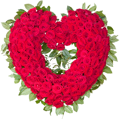 Open Heart - Hybrid Tea Rose Clipart (430x430), Png Download