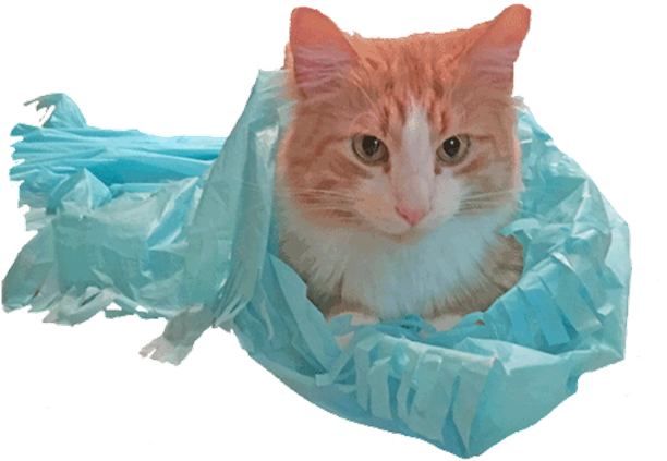 Picture Of Magic Carpet - Ragamuffin Clipart (625x625), Png Download