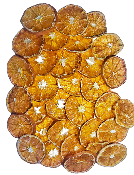 Rangpur Clipart (534x712), Png Download