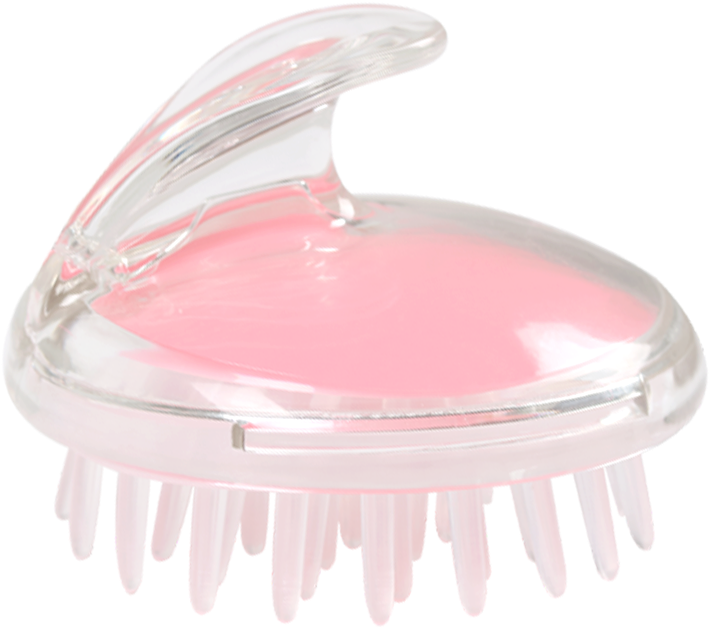 Shampoo Brush Adult Head Massage Comb Gripper Scalp - Plastic Clipart (800x800), Png Download