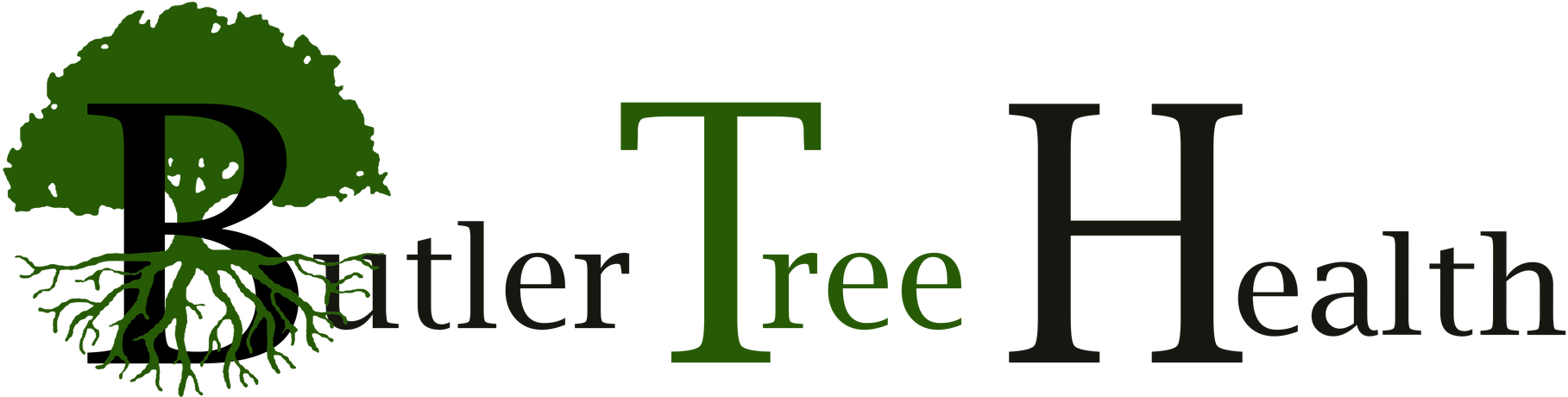 Tree With Roots Clipart (1920x459), Png Download