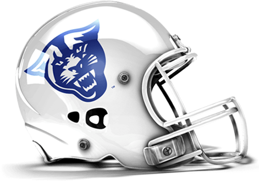 Panthers Helmet - Arizona Wranglers Clipart (1600x820), Png Download