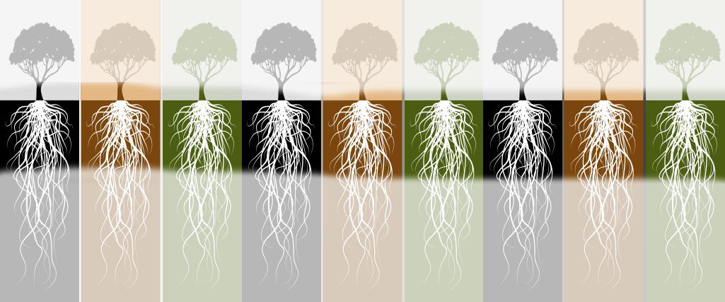 Tree Worxx Offers Organic Deep Root Feeding For Trees - Tree Roots Drawing Clipart (1025x427), Png Download