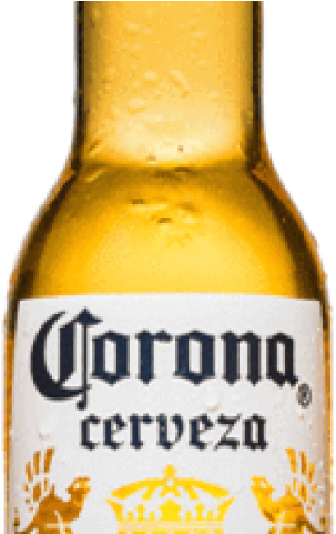 Alcohol Clipart Mexican Beer - Beer Bottle - Png Download (640x480), Png Download