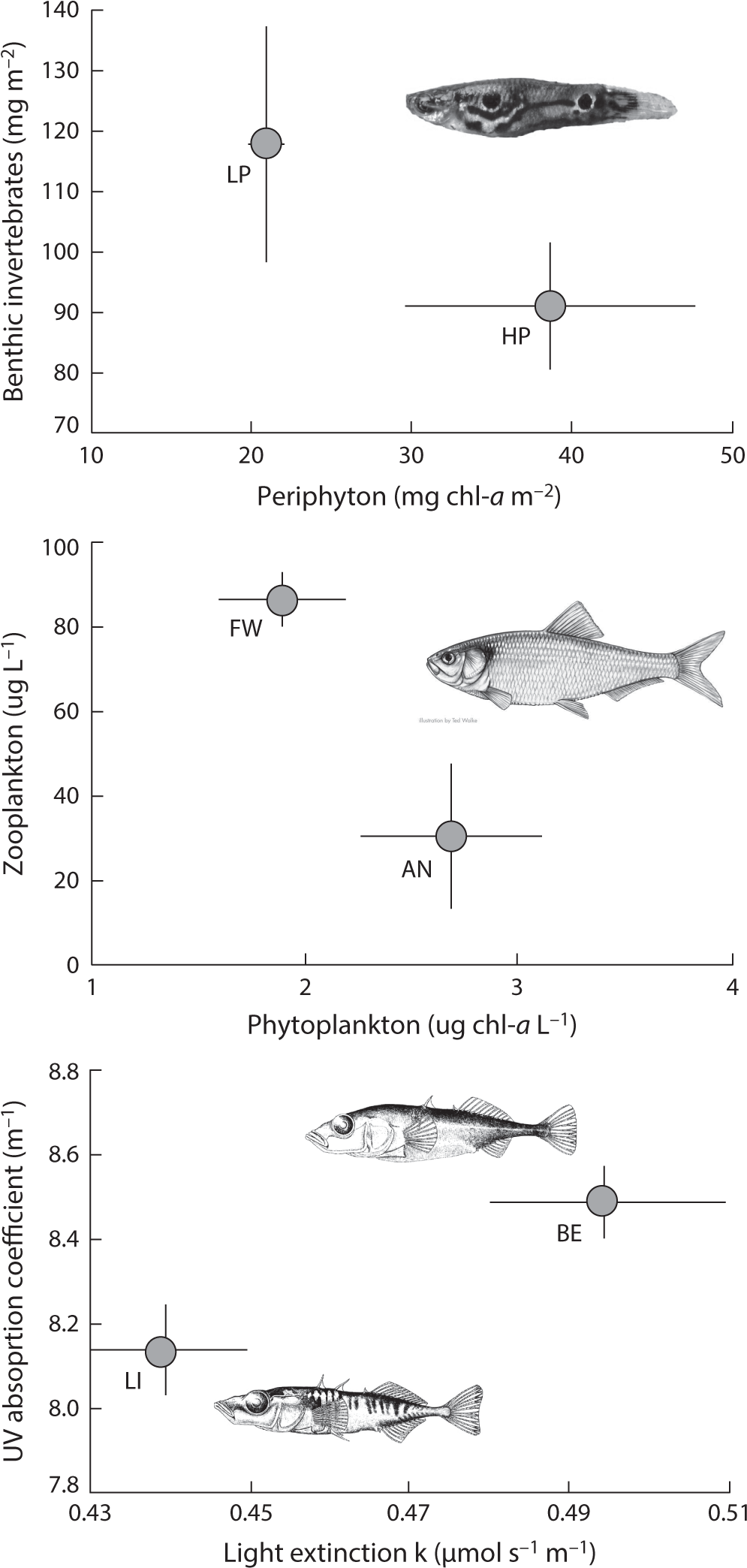 09-03 Hendry Fig - Lamniformes Clipart (1014x2094), Png Download