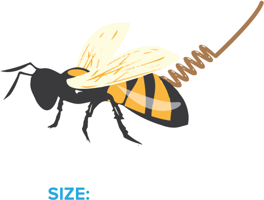 Illustration Clipart (990x953), Png Download