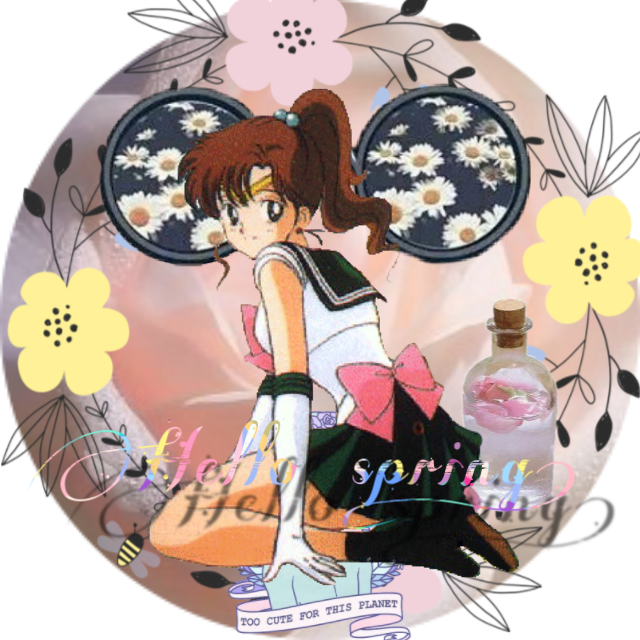 #sailorjupiter - Sailor Moon Jupiter Clipart (640x640), Png Download