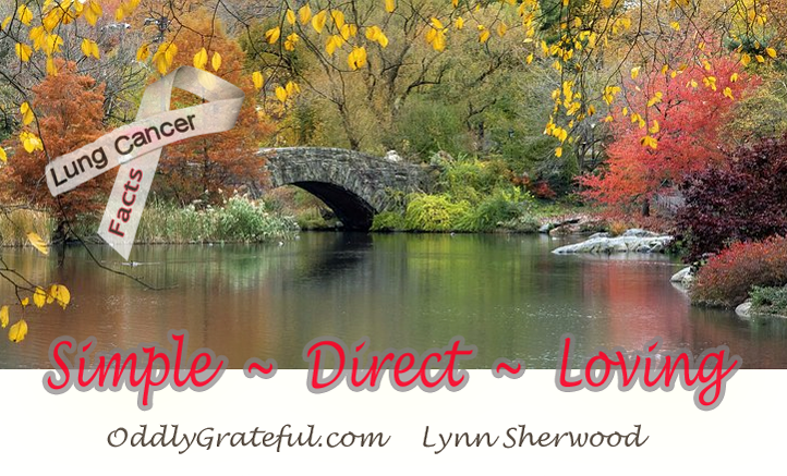 New York Clipart (722x437), Png Download