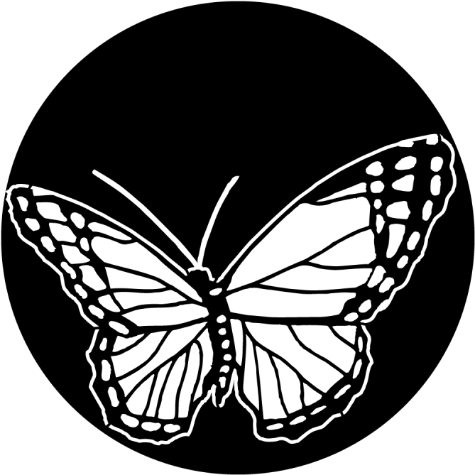 More Views - Butterfly - Apollo Butterfly Me 1160 Clipart (800x800), Png Download