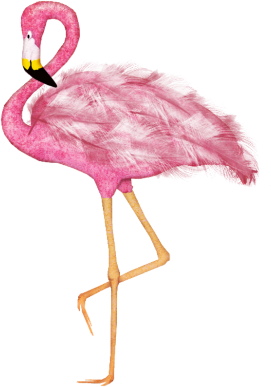 #mq #pink #flamingo #flamingos #bird - Elias Chatzoudis Clipart (1024x1024), Png Download