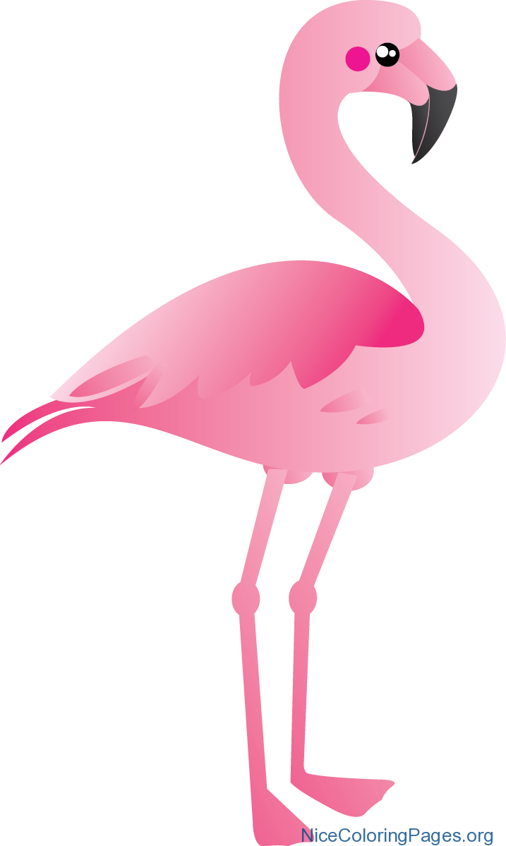 Flamingo Clipart Pink Flamingo - Flamingo Clipart - Png Download (717x1199), Png Download