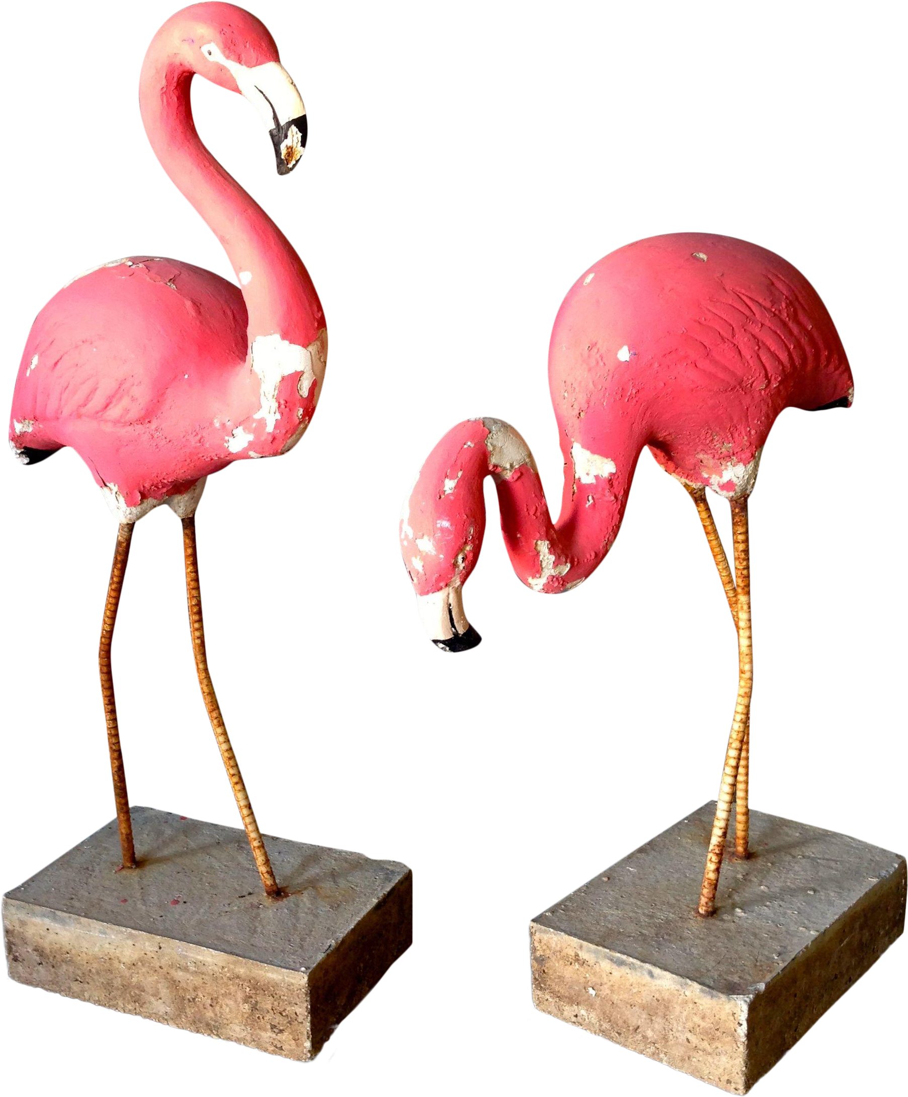 Fantastic Pair Of 1950's Vintage Pink Flamingos - Greater Flamingo Clipart (2448x3264), Png Download