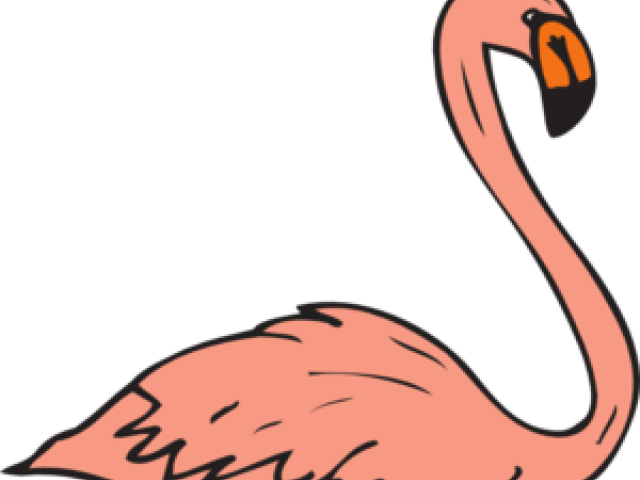 Pink Flamingo Cliparts - Flamingo Swimming Clipart - Png Download (640x480), Png Download