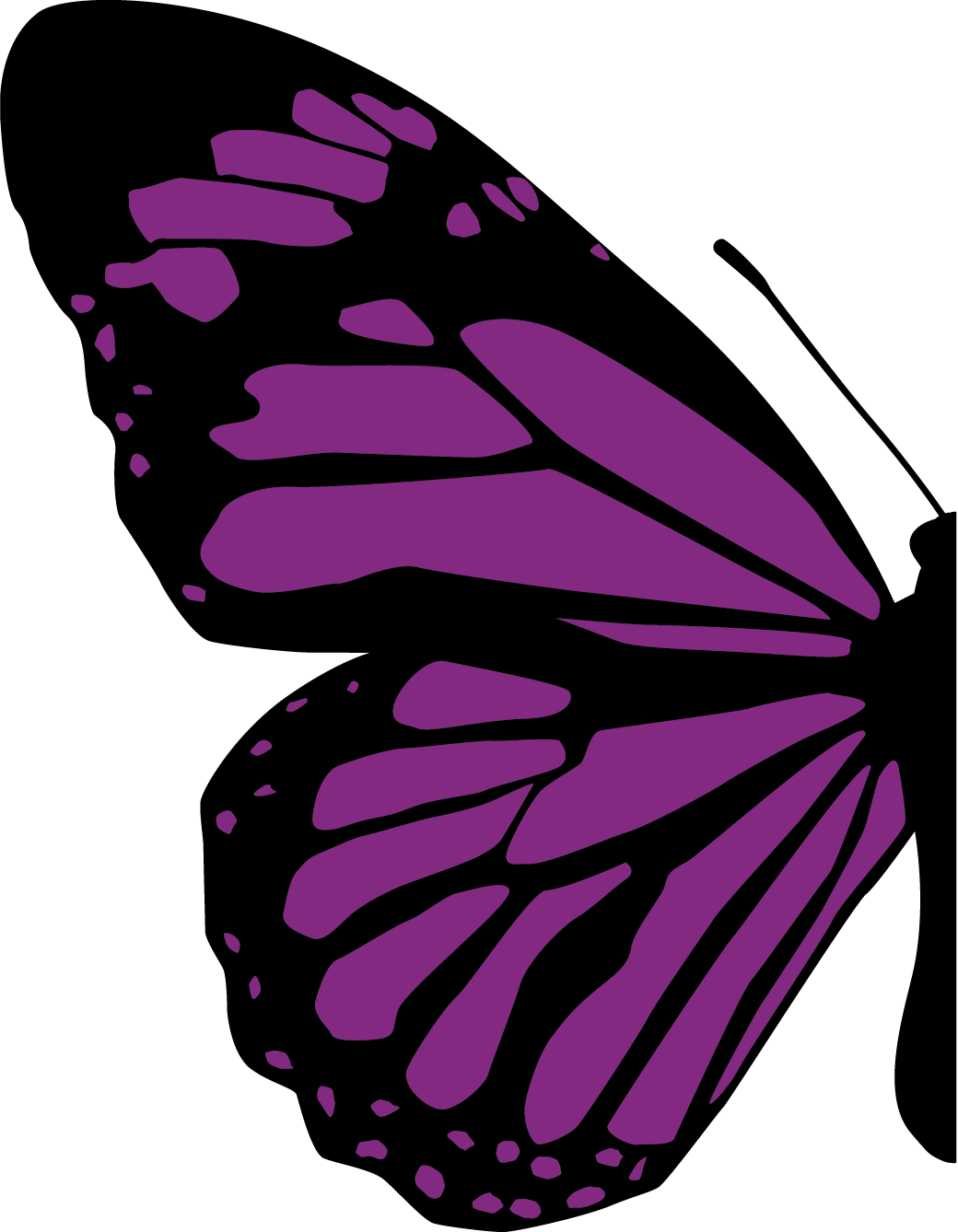Butterfly 5k Run - Half Butterfly Clip Art - Png Download (1040x1338), Png Download