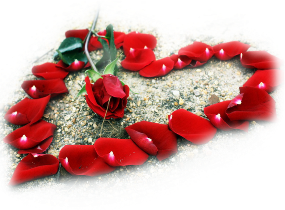 Pastel, Roses, Heart, Rose, Melted Crayons, Color Palettes - Beautiful Love Flowers Clipart (972x718), Png Download
