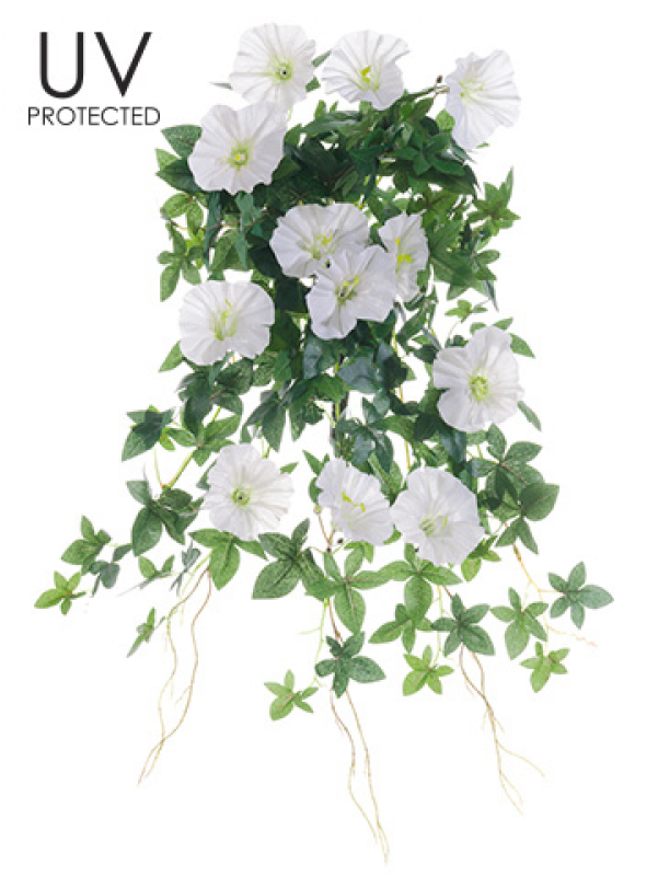 20" Uv Protected Morning Glory Hanging Bush Cream - Bouquet Clipart (800x800), Png Download
