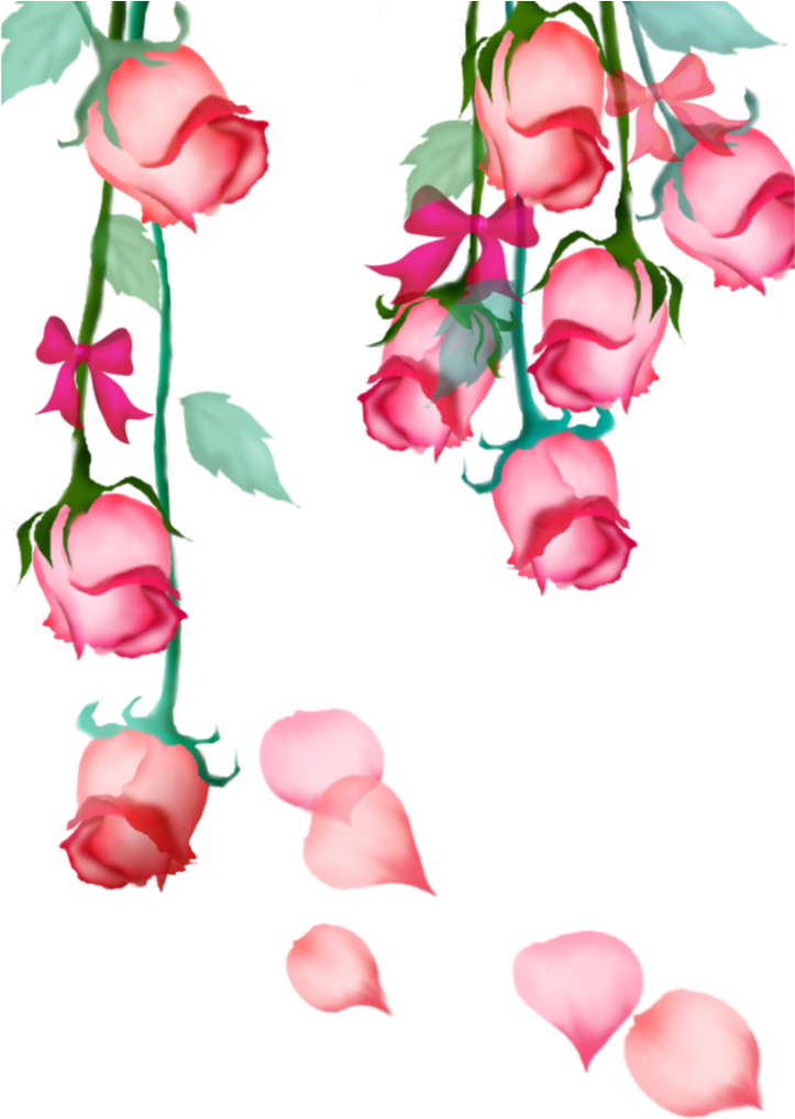 #mq #pink #rose #roses #hanging #bow #flowers #flower - 花朵 Clipart (1024x1024), Png Download