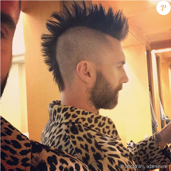 Adam Levine Sur Instagram- 14 Mai - Adam Levine Clipart (950x590), Png Download